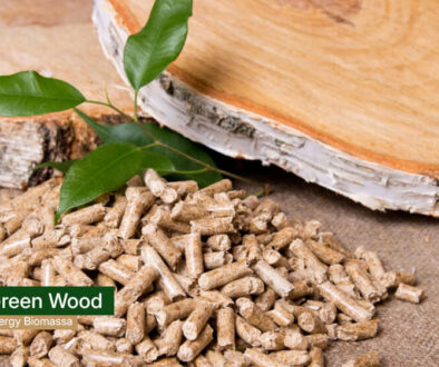 wood pellet indonesia(1)