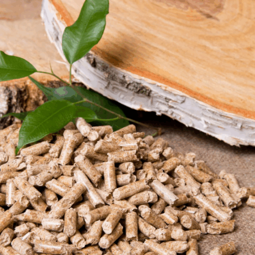 gambar1735799256 gambar1735799256