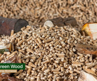 green wood energy - wood pellet indonesia 2(1)