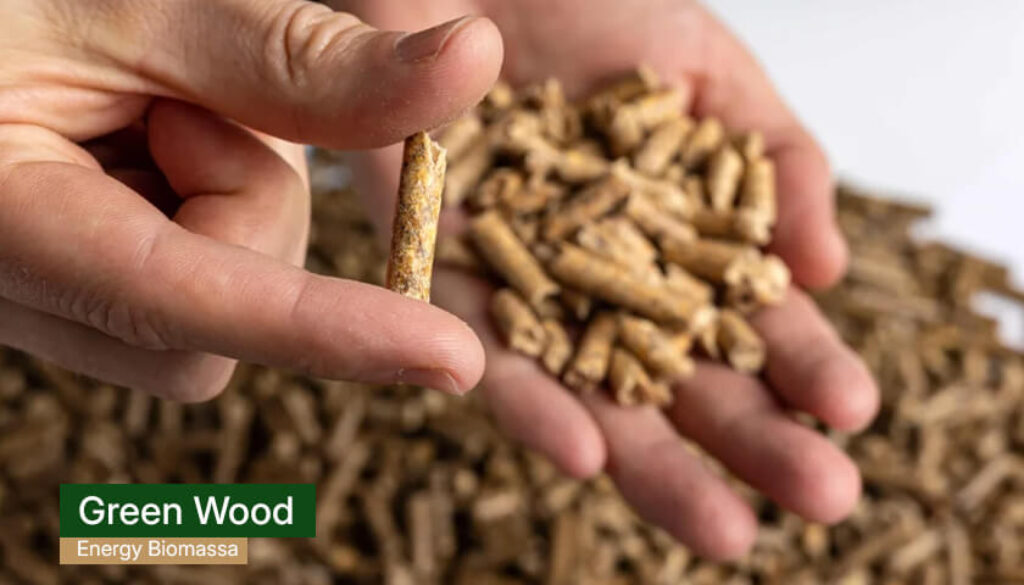 green wood energy - wood pellet indonesia 3(1)
