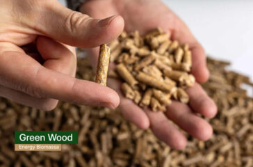 green wood energy - wood pellet indonesia 3(1)