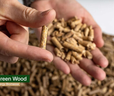 green wood energy - wood pellet indonesia 3(1)
