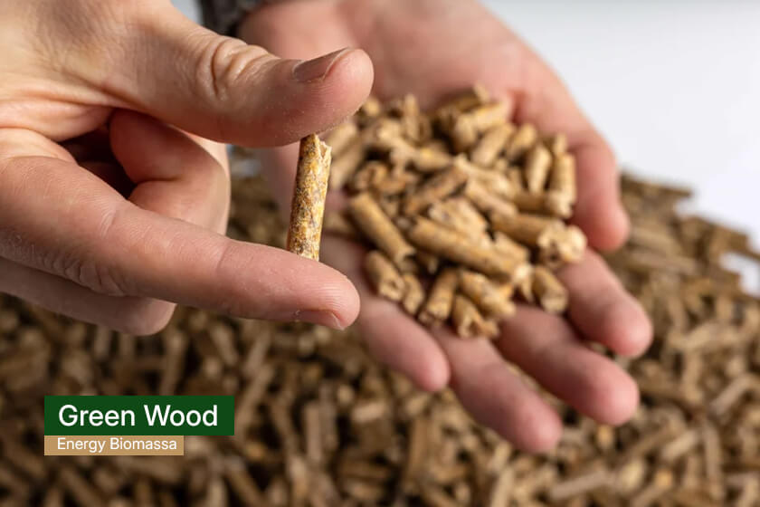 green wood energy - wood pellet indonesia 3(1)