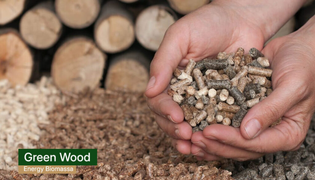green wood energy - wood pellet indonesia factory(1)