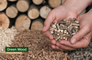 green wood energy - wood pellet indonesia factory(1)