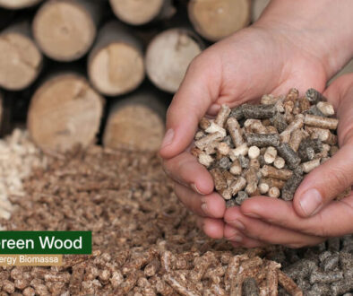 green wood energy - wood pellet indonesia factory(1)