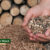 green wood energy - wood pellet indonesia factory(1)
