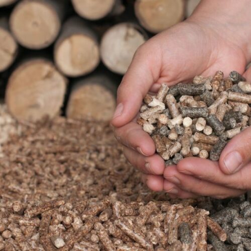 wood pellet biomassa wood pellet biomassa